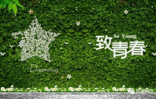 描寫(xiě)青春的優(yōu)美詩(shī)句,青春的現代優(yōu)美的詩(shī)句摘抄,關(guān)于青春奮斗的優(yōu)美詩(shī)句