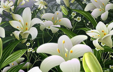 描寫(xiě)百合花的古詩(shī)句大全