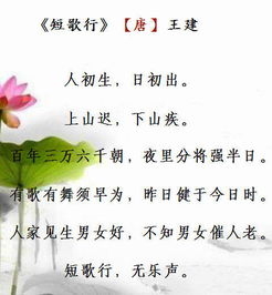 感恩孩子來(lái)到我身邊的詩(shī)句,感恩孩子的陪伴經(jīng)典詩(shī)句,感恩妻子生孩子的詩(shī)句