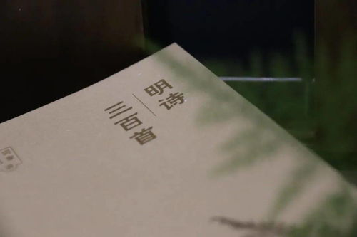 表示有氣節的古詩(shī)句