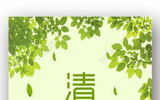 關(guān)于樹(shù)葉和鳥(niǎo)巢的詩(shī)句古詩(shī)