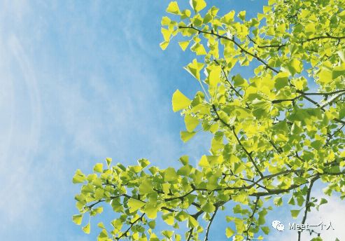 表達愛(ài)情的古詩(shī)句,愛(ài)情失意的古詩(shī)句,祝福愛(ài)情長(cháng)久的古詩(shī)句