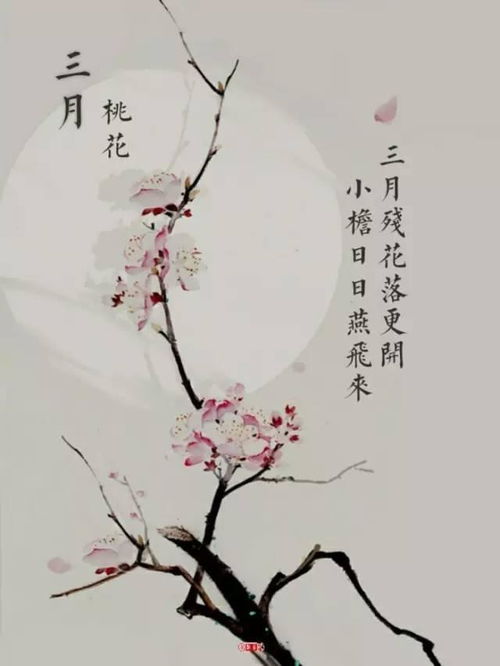 寫(xiě)春花的古詩(shī)句