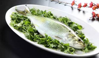 關(guān)于品嘗鰣魚(yú)的詩(shī)句