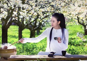 關(guān)于普洱茶的古詩(shī)句,贊美青山綠水的古詩(shī)句,贊美父親的古詩(shī)句