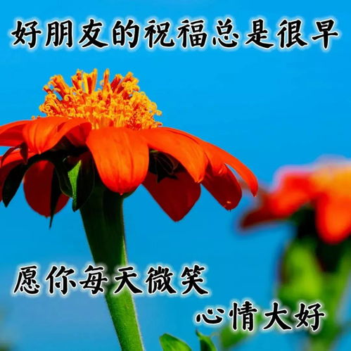 詩(shī)句,祝福