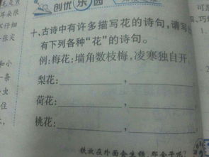 寫(xiě)出含有下列花名的古詩(shī)句