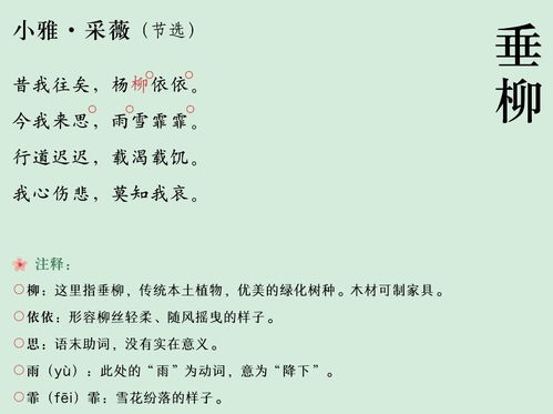 描寫(xiě)小學(xué)生植物的詩(shī)句古詩(shī)詞