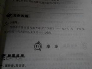 古詩(shī)句開(kāi)頭句段