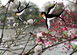 關(guān)于景色好的詩(shī)句