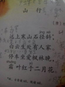古詩(shī)山行詩(shī)句的大意