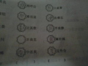 起字結尾的古詩(shī)句