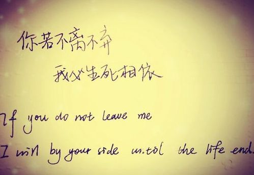 關(guān)于友誼的詩(shī)句英語(yǔ)版