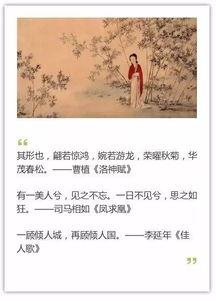 攝取,詩(shī)句,形容,成果