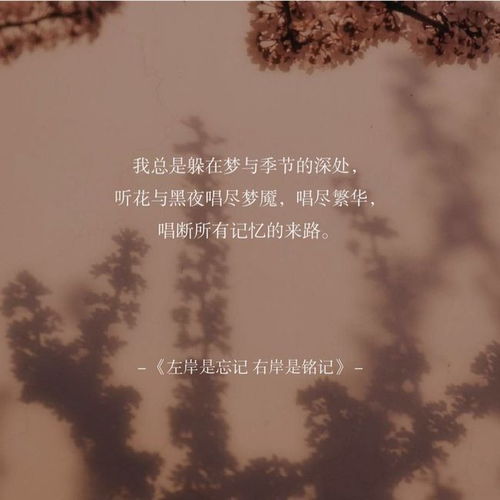 關(guān)于悲傷愛(ài)情的詩(shī)句大全,荷花悲傷的詩(shī)句大全,人生悲傷的詩(shī)句大全