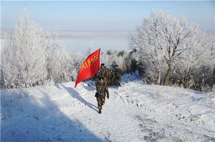 關(guān)于邊疆風(fēng)雪的詩(shī)句
