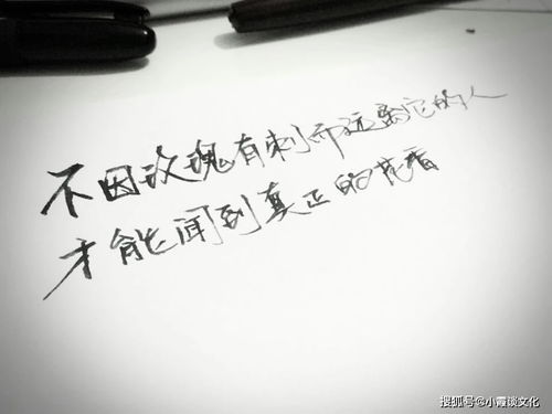 表示努力向上古詩(shī)句