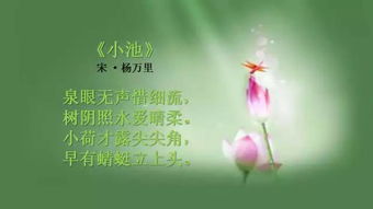 江南夏天詩(shī)句古詩(shī)詞
