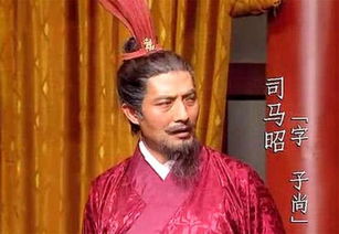 司馬,詩(shī)句