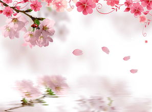 詩(shī)句,五級