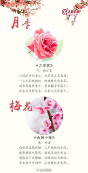 關(guān)于朋友相約的詩(shī)句