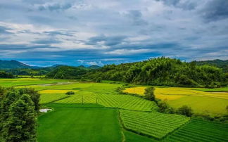 自己寫(xiě)關(guān)于田園的古詩(shī)句
