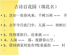 關(guān)于詩(shī)句競賽的內容