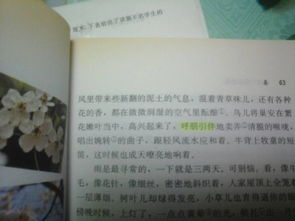 春字有關(guān)的詩(shī)句古詩(shī)