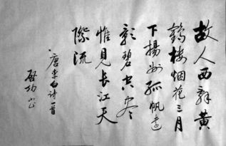 關(guān)于春天詩(shī)句及意思