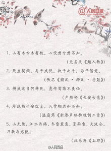 發(fā)現美的眼睛古詩(shī)句