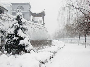 關(guān)于雪的名句古代詩(shī)句