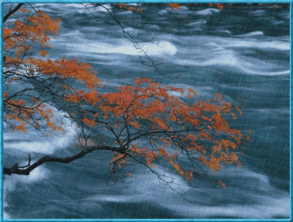 古詩(shī)詞,詩(shī)句,秋雨,離別