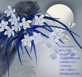 描寫(xiě)空谷幽蘭的詩(shī)句古詩(shī)