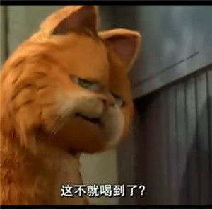 關(guān)于失敗后失望的詩(shī)句