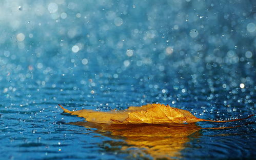 關(guān)于雨滋潤莊稼的詩(shī)句