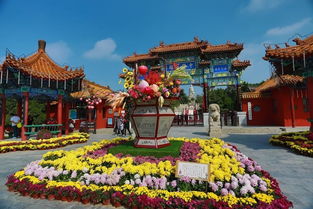 關(guān)于菊花的不屈不撓的詩(shī)句