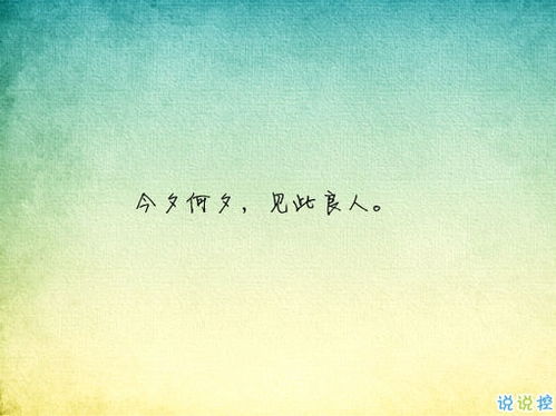 意境有美古詩(shī)句