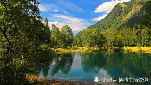 關(guān)于有付出才有回報的古詩(shī)句