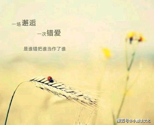 關(guān)于堅強勇敢的詩(shī)句