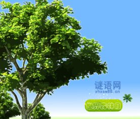 關(guān)于保護森林的詩(shī)句.
