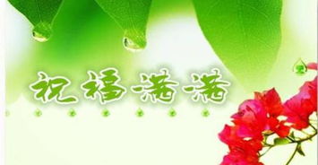 詩(shī)句,祝福