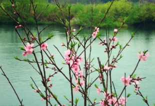 古詩(shī)桃花潭的詩(shī)句