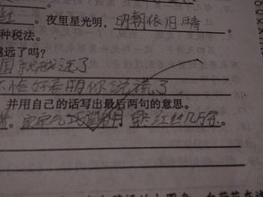 古詩(shī)乞巧的詩(shī)句的翻譯