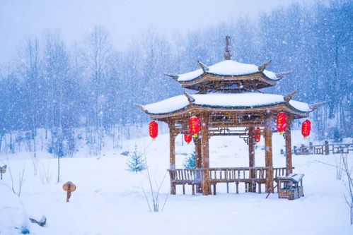 關(guān)于哈爾濱的詩(shī)句