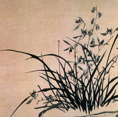 有關(guān)蘭花的詩(shī)句古詩(shī)大全