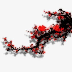 詩(shī)句,梅花,贊美,還有哪些