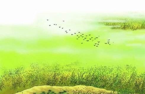 關(guān)于春天的詩(shī)句,春天的詩(shī)句有哪些?,關(guān)于春天和花朵的詩(shī)句有哪些