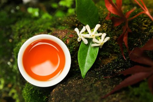 關(guān)于以茶思人的詩(shī)句