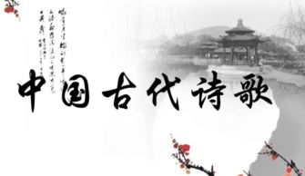 古詩(shī)中表詩(shī)忠義的詩(shī)句
