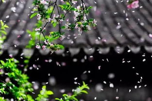 詩(shī)句,美好,期待,愛(ài)情